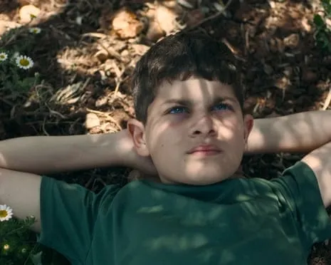 Israeli Minister of Culture Vows to Withdraw Ophir Awards Funding Following Palestinian Story Film Wins Top Prize