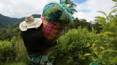 America Classifies the South American Nation as Failing to Cooperate in Drug War