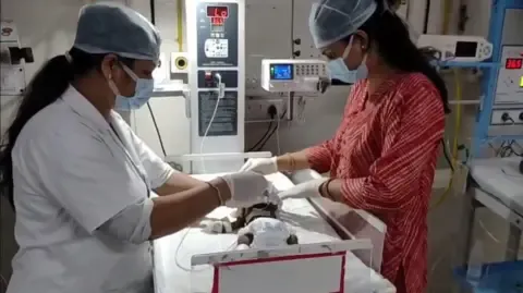 Infant Placed Living in India Fights for Existence