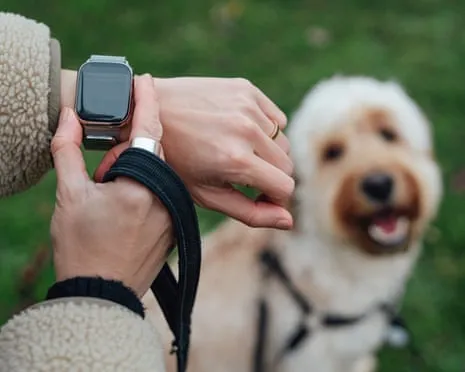 The Reality Regarding Wearable Tech? Life Feels Fuller Devoid of a Nagging Gadget on Your Wristwear